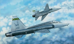 トランペッターモデル1/48 アメリカ空軍 T-38C タロン                 